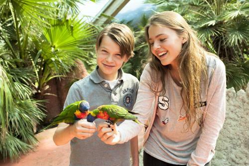 Van Der Valk Hotel Avifauna