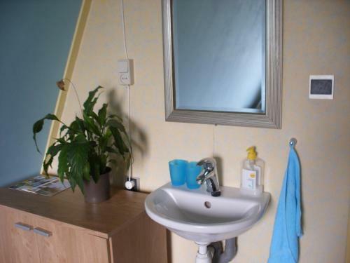 B&b-edam