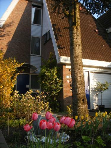 B&b-edam
