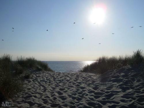 Zonneweelde