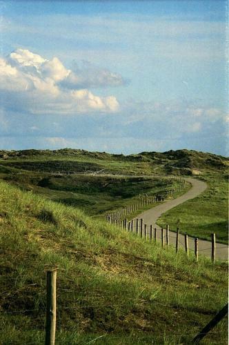 Zonneweelde
