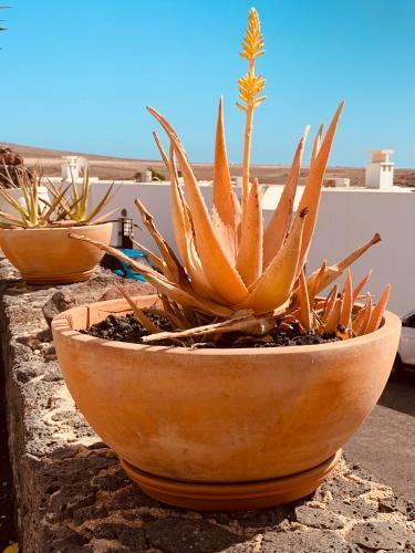Lovely Villa D'ogna, Las Coloradas, Playa Papagayo