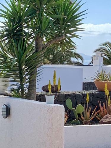 Lovely Villa D'ogna, Las Coloradas, Playa Papagayo