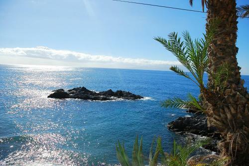 Apartamento Relax En El Mar