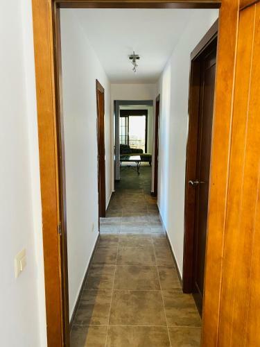 Las Palmeras Penthouse Apartment