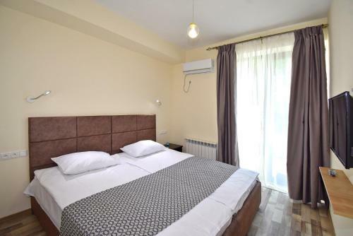 Hostal The Nut Guest House