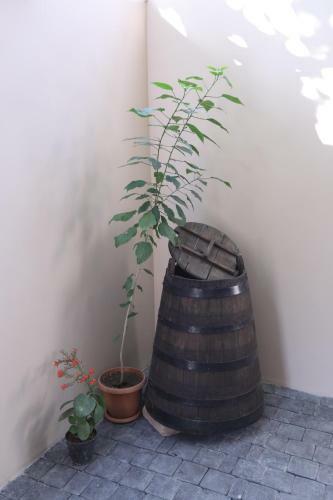 Apartamento Blue Poppy - 1 Br - Self Checkin - Garden - Bbq