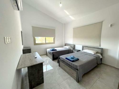 New Modern 4 Bed Villa Near Beach In Paphos