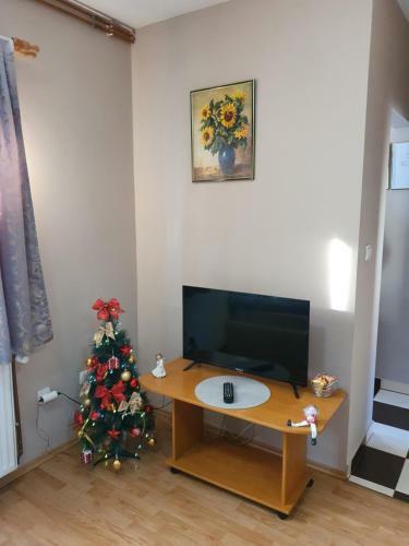 Apartman "millan"