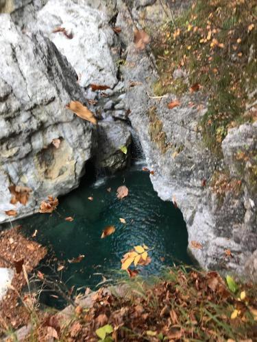 Hostal Bujtina Zi�i
