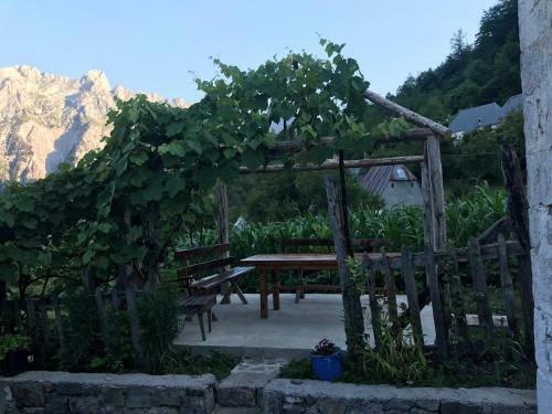 Hostal Marash Rrgalla Guesthouse