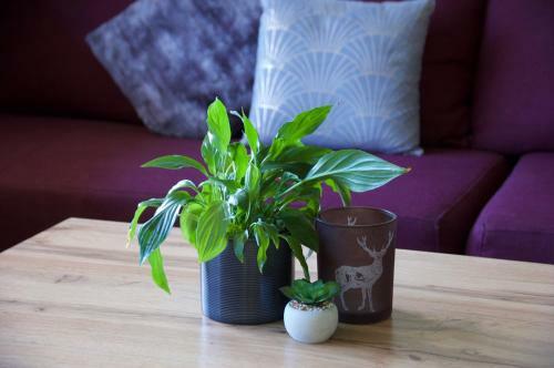 Apartamento Landhaus Bergner Alm