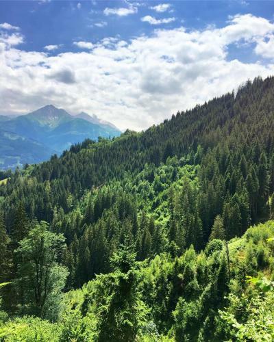 Apartamento Landhaus Bergner Alm