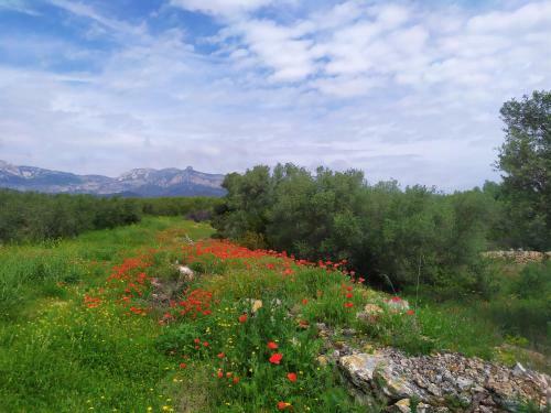 Agroturismo Les Olles