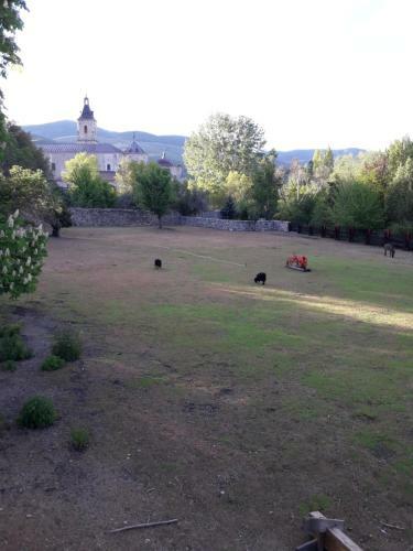 Apartamento Ordino 2 A