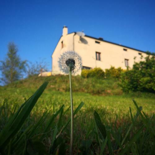 Agroturismo Casa A Pedra