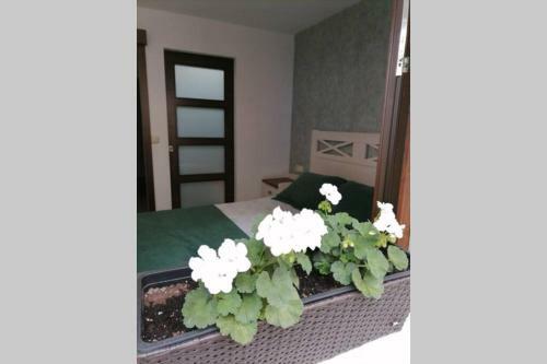 Casa Da Placi�a