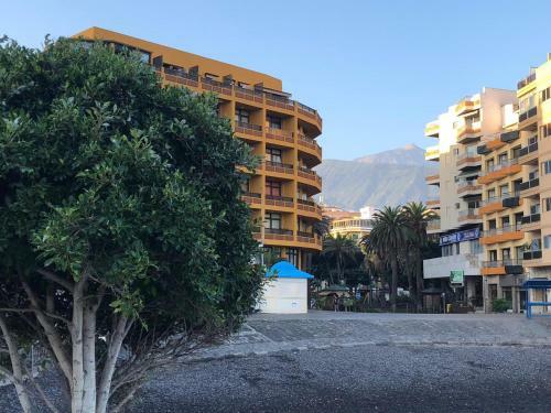 C�ntrico Y Coqueto Apartamento