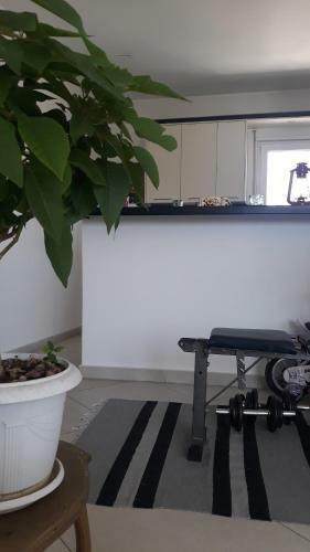 Hostal Guesthouse Bela