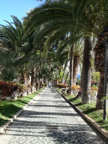 Apartamento Los �rganos Deluxe