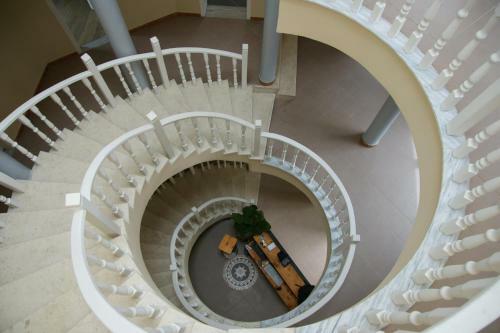 Albergue The Golden Rooster