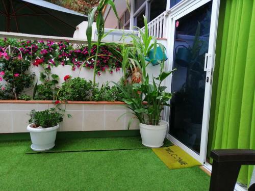 Apartamento Con Encanto En Puerto de La Cruz