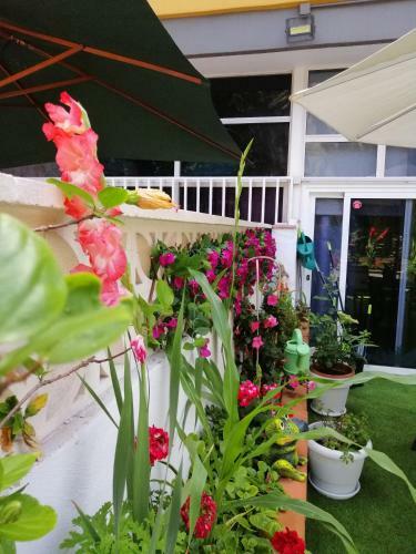 Apartamento Con Encanto En Puerto de La Cruz