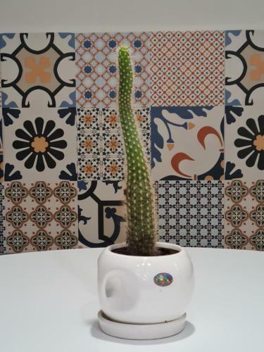 Tam Myslym Shyri Lux Studio Apartment No.1