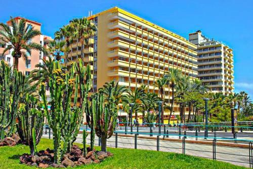 Apartamento Estudio Para Tres En Martianez