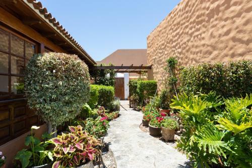Casa Strelizia