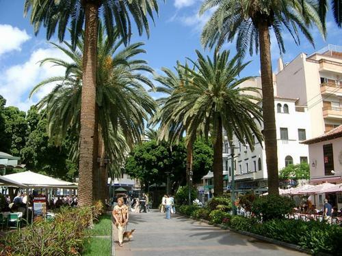 Apartamento Estudio Para Dos En Martianez