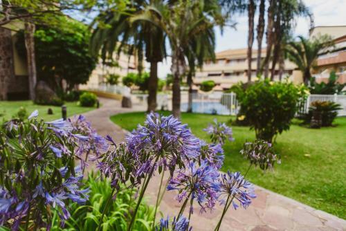 Apartamento Vista Paraiso Asomada 4