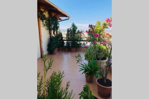 Apartamento Prime Tirana Penthouse