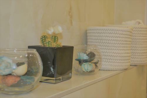 Cozy Central Tirana Apartments