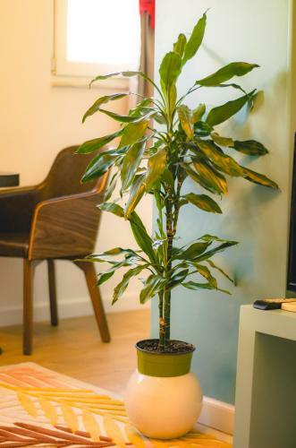 Bright Apartment Close To City Center