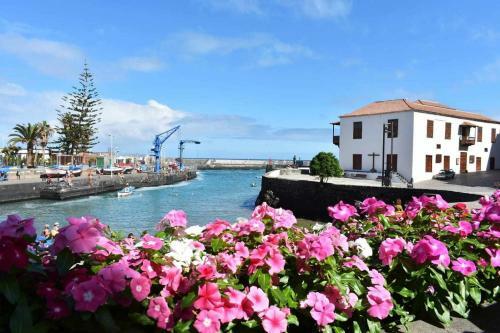 Apartamento Summa Haus Yubal 4