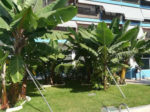 Apartamento Acogedor Estudio Con Piscina Y Cerca de La Playa