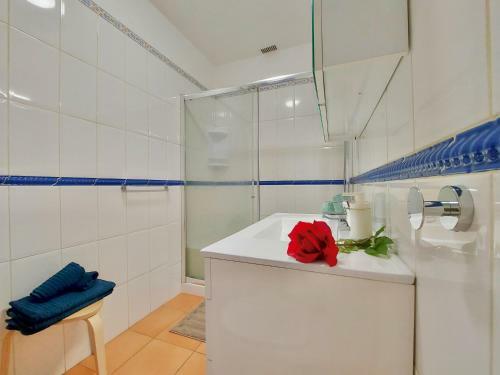 Apartamento Seaview Terrace By Tor