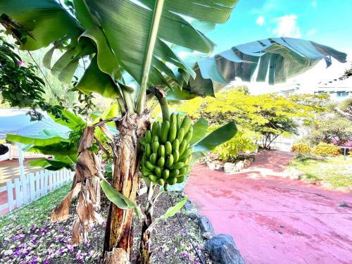 Apartamento Single Studio E With Wifi, Balcony, Swimming Pools