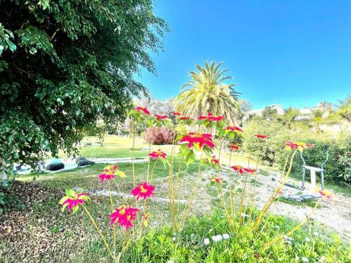Apartamento Superior Studio With Pools, Close To The Beach