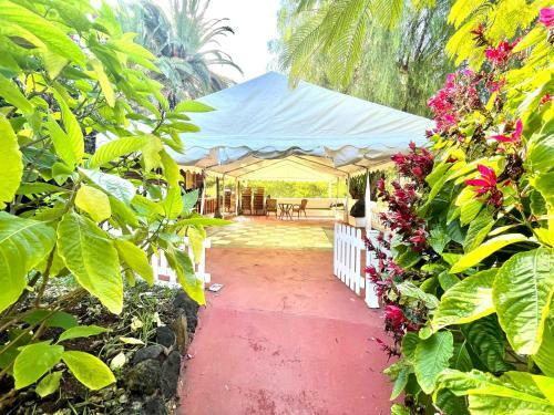 Apartamento Superior Studio With Pools, Close To The Beach