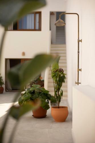 Apartamento San Felipe Suites