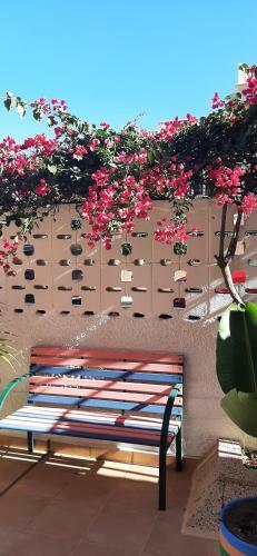 Apartamentos Valle Luz