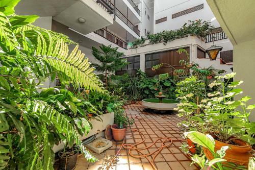 Apartamento Home2book Center Studio Puerto De La Cruz