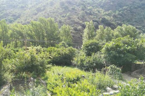 Apartamento C�ntric Allotjament A Rialp