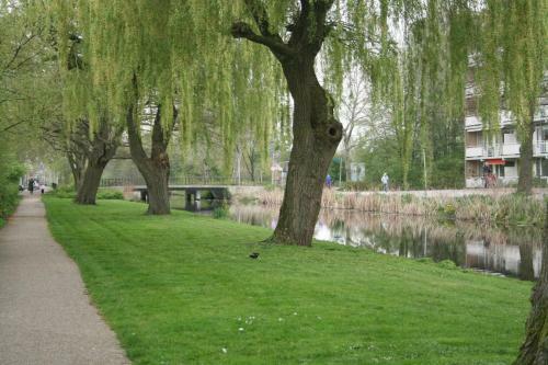 Apartamento Cozy Suite On Edge Of Amsterdam/amstelveen