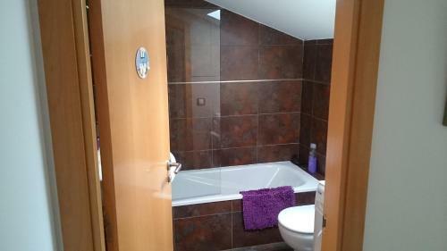 Apartamento Atico En Ribes De Freser