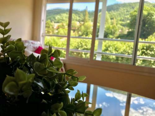 Apartamento Fant�stico Piso Ribes Freser