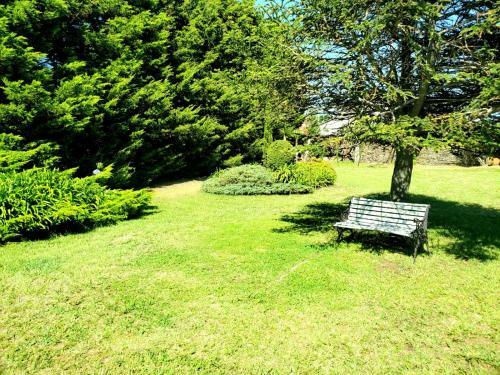 Apartamento Viviendas Tur�sticas Rosa