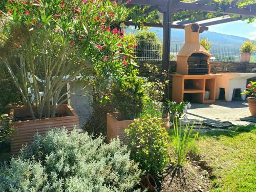 Apartamento Viviendas Tur�sticas Rosa
